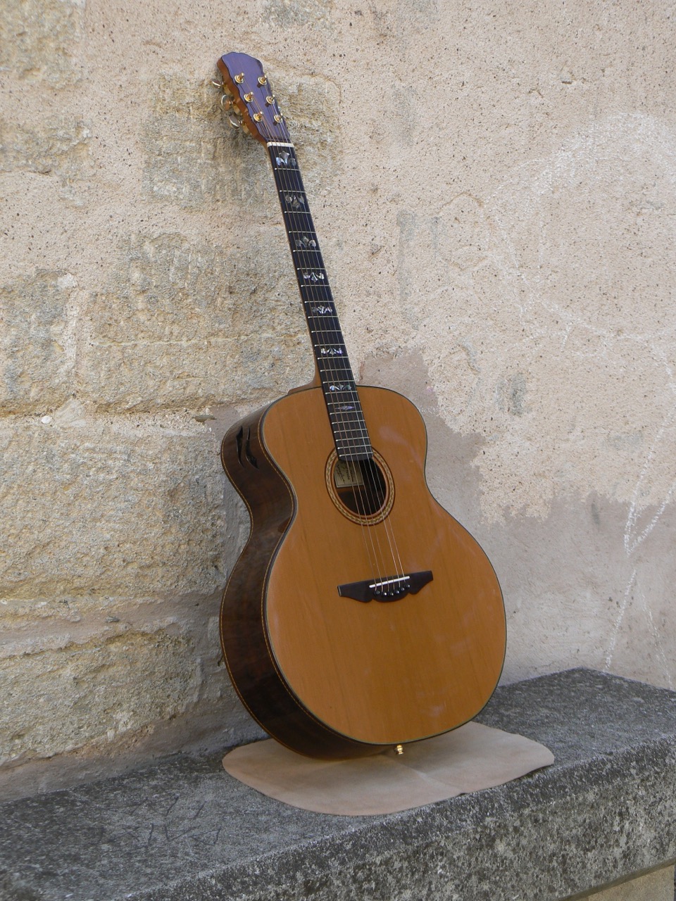 Guitare folk-concert vue d'ensemble
