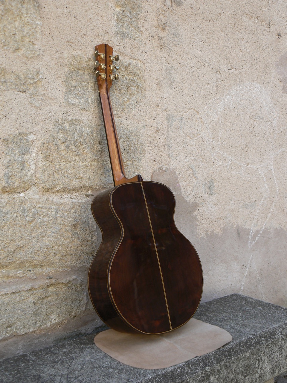 Guitare folk-concert profil
