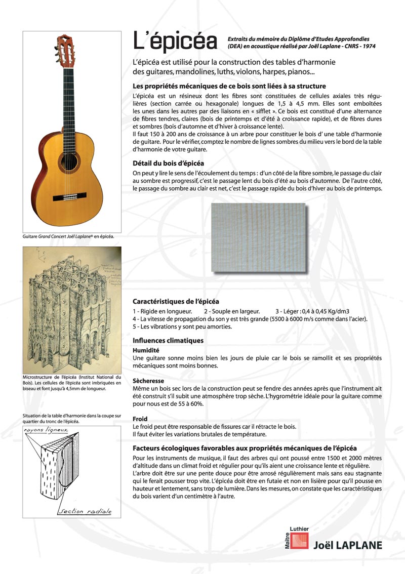Panneau L'épicéa